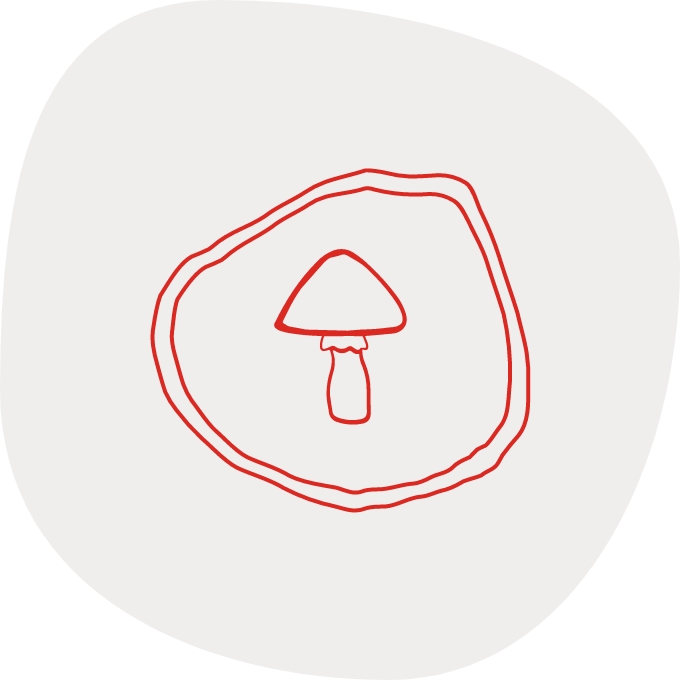 Grafické znázornění dřevokazné houby na pozadí s kruhovým motivem, v kontextu sanace krovů